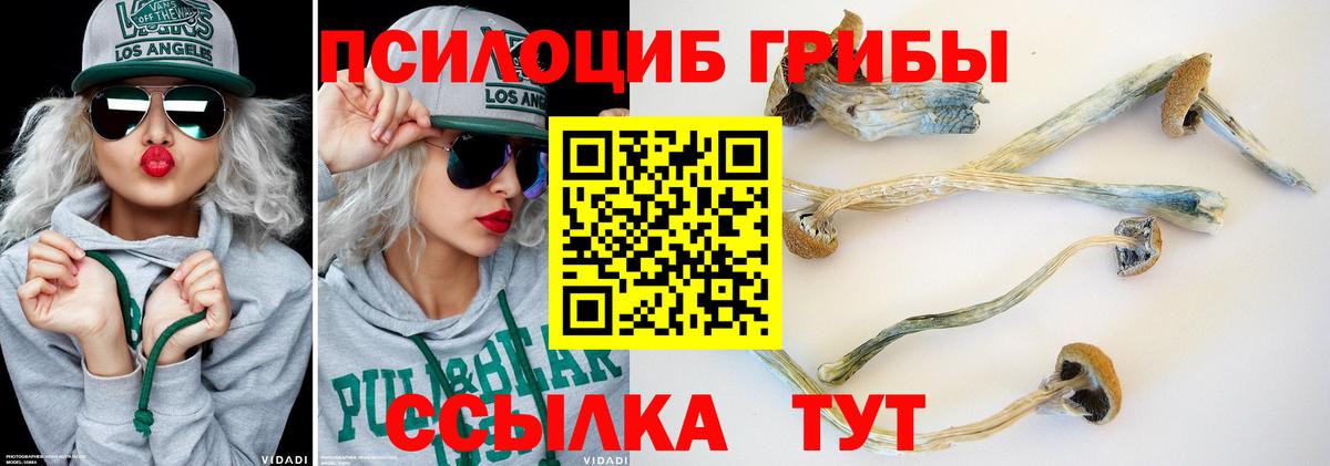 Галлюциногенные грибы мицелий  Вход с VPN  Городец  Псилоцибиновые грибы Psilocybine cubensis 